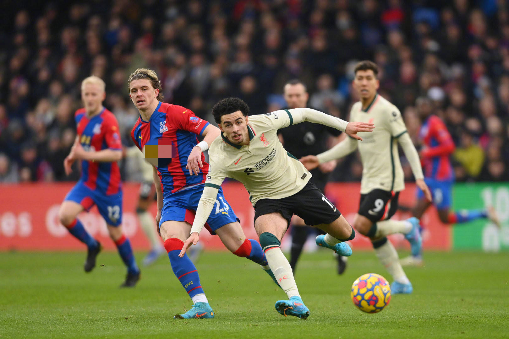 是队伍的象 是队伍的象